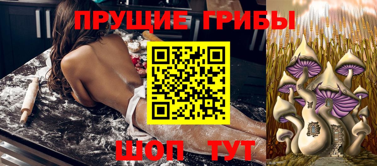 Махачкала  как найти закладки  Вход с VPN  Псилоцибиновые грибы ЛСД 