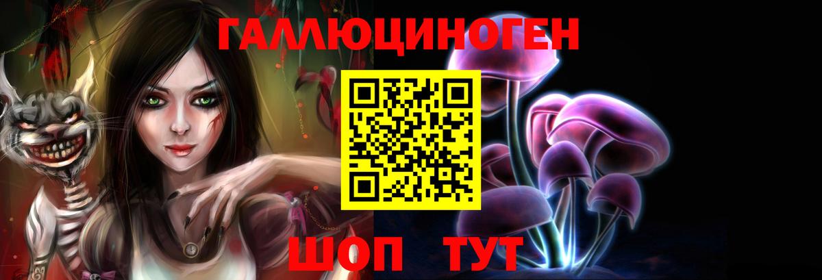 Псилоцибиновые грибы Psilocybine cubensis Махачкала
